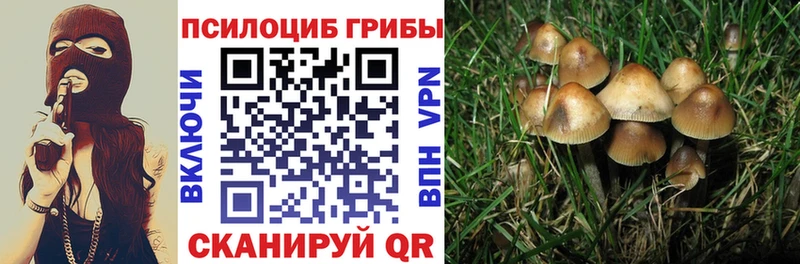 Галлюциногенные грибы Psilocybine cubensis  МЕГА рабочий сайт  Алушта 