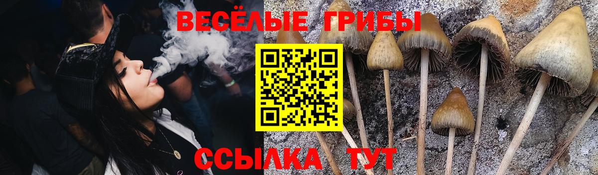 Галлюциногенные грибы Psilocybine cubensis  Вход с VPN  Алушта 